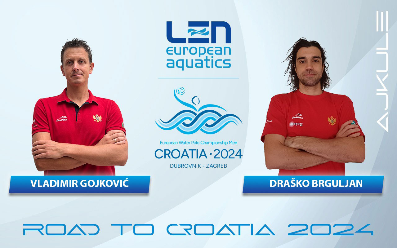 gojkov-brguljan-intervju